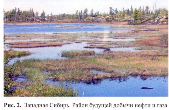 Иллюстрация к книге — Как Россия живет достижениями прошлого. Работа гидромеханизации в подготовке основания и дорог для добычи нефти и газа в Западной Сибири [image1_5bba05f998bb8204ef3a2ec2_jpg.jpg]