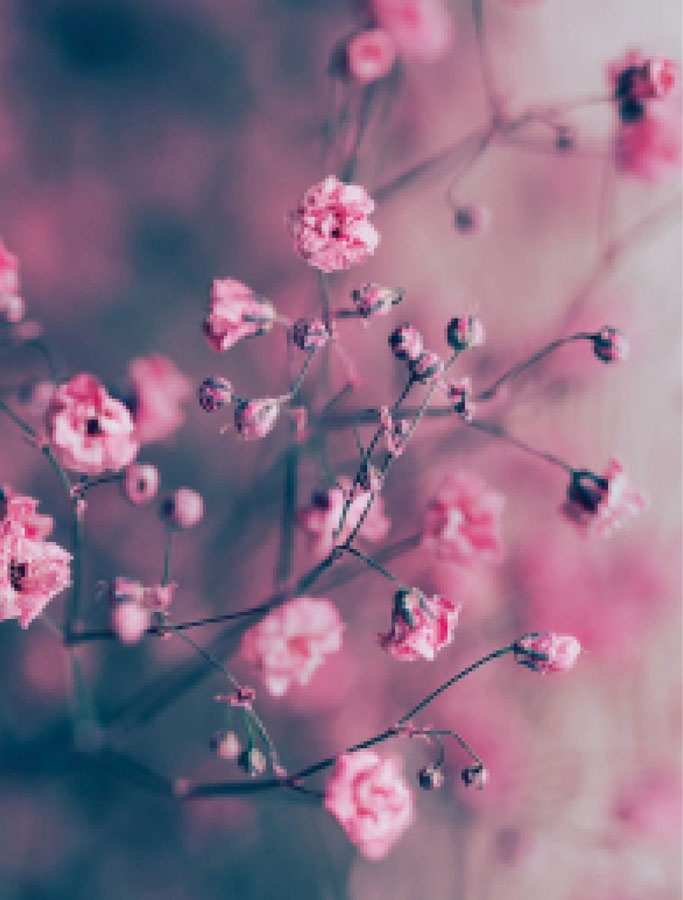 Иллюстрация к книге — Wabi Sabi. Японские секреты истинного счастья в неидеальном мире [i_002.jpg]