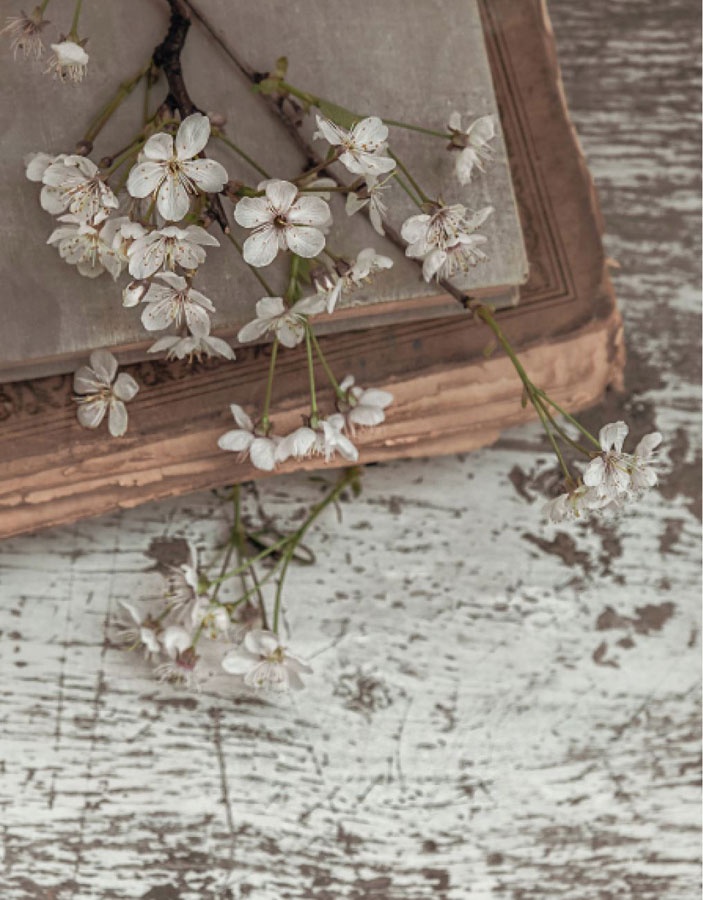 Иллюстрация к книге — Wabi Sabi. Японские секреты истинного счастья в неидеальном мире [i_023.jpg]