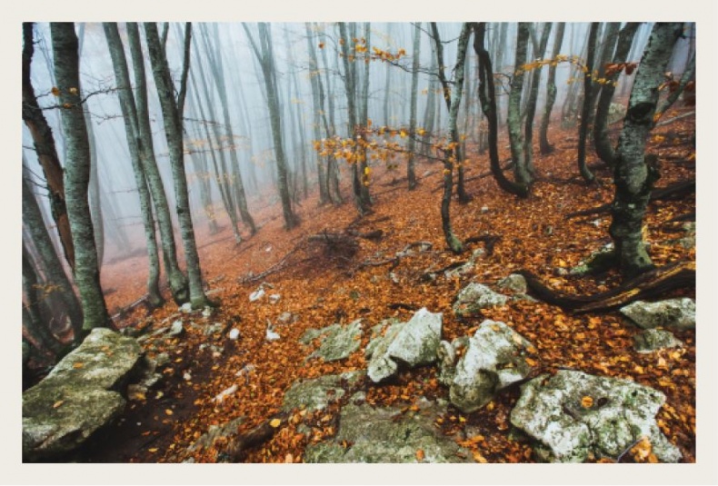 Иллюстрация к книге — Wabi Sabi. Японские секреты истинного счастья в неидеальном мире [i_028.jpg]