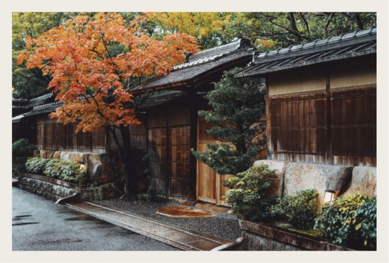 Иллюстрация к книге — Wabi Sabi. Японские секреты истинного счастья в неидеальном мире [i_029.jpg]