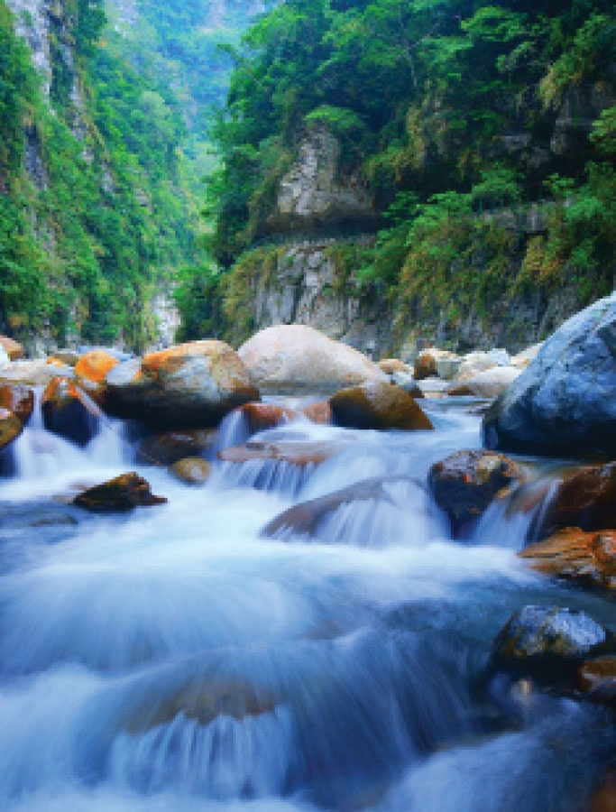 Иллюстрация к книге — Wabi Sabi. Японские секреты истинного счастья в неидеальном мире [i_032.jpg]