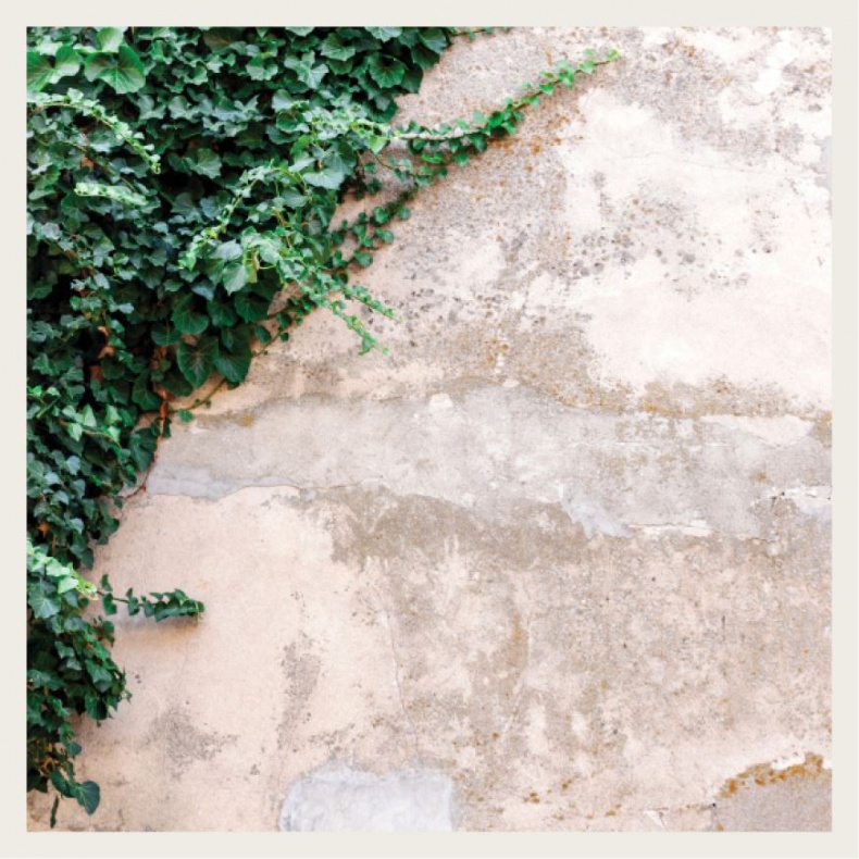 Иллюстрация к книге — Wabi Sabi. Японские секреты истинного счастья в неидеальном мире [i_073.jpg]