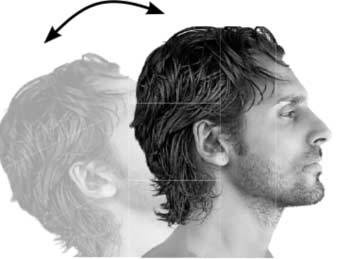 Иллюстрация к книге — На нервной почве. Познавательная медицинская мифология [i_004.jpg]