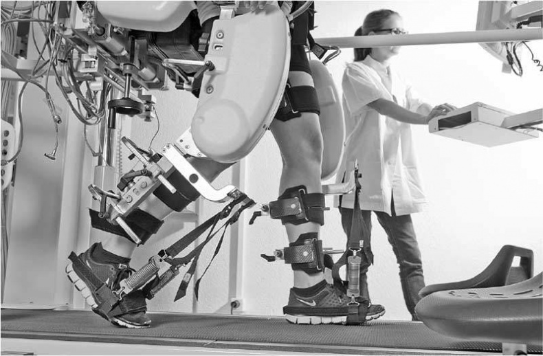 Иллюстрация к книге — На нервной почве. Познавательная медицинская мифология [i_017.jpg]