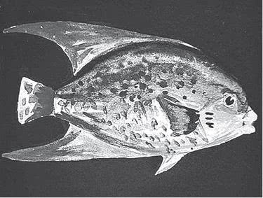 Иллюстрация к книге — Дом правительства. Сага о русской революции [i_296.jpg]