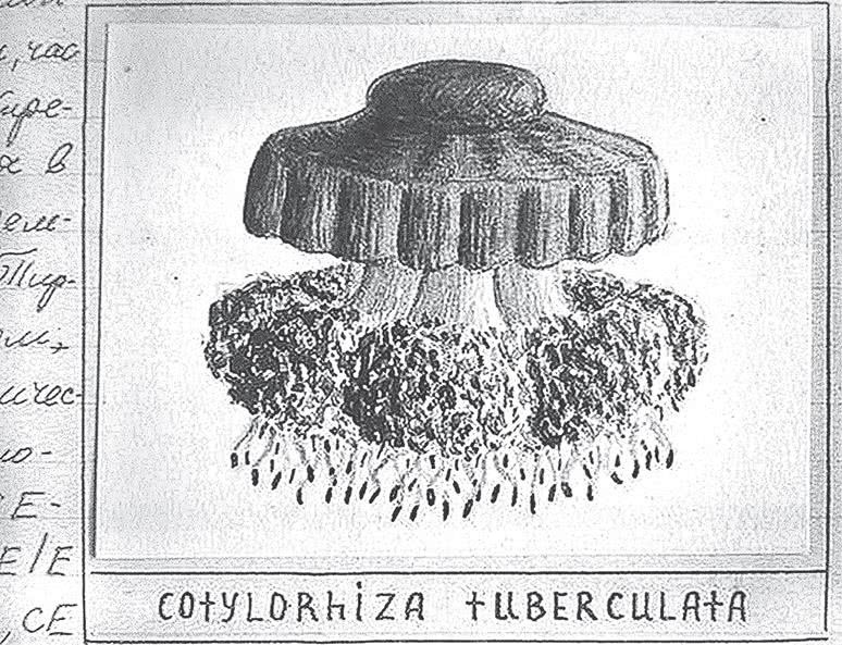 Иллюстрация к книге — Дом правительства. Сага о русской революции [i_297.jpg]