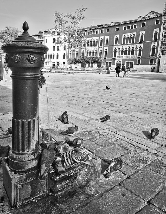 Иллюстрация к книге — Только Венеция. Образы Италии XXI [i_021.jpg]