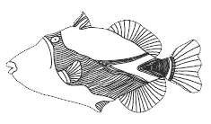 Иллюстрация к книге — Весь этот мир [i_001.jpg]