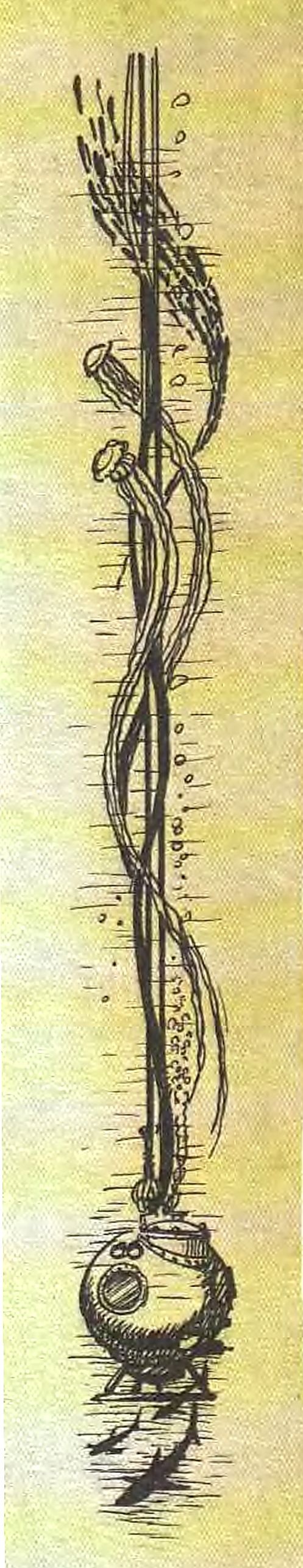 Иллюстрация к книге — Сказочное мореплавание [i_079.jpg]