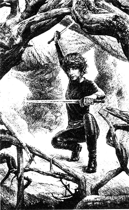 Иллюстрация к книге — Дикий пес [i_002.jpg]