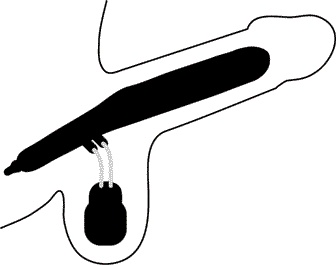 Иллюстрация к книге — Мужское здоровье. Как у вас с ним? [i_012.jpg]