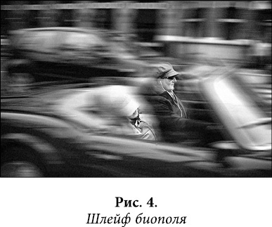 Иллюстрация к книге — Квантовая биомеханика тела. Методика оздоровления опорно-двигательного аппарата человека. Часть 1 [_03.jpg]