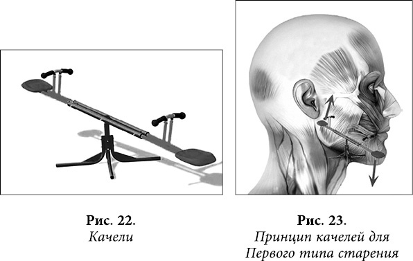 Иллюстрация к книге — Квантовая биомеханика тела. Методика оздоровления опорно-двигательного аппарата человека. Часть 1 [_17.jpg]