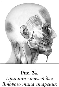 Иллюстрация к книге — Квантовая биомеханика тела. Методика оздоровления опорно-двигательного аппарата человека. Часть 1 [_19.jpg]