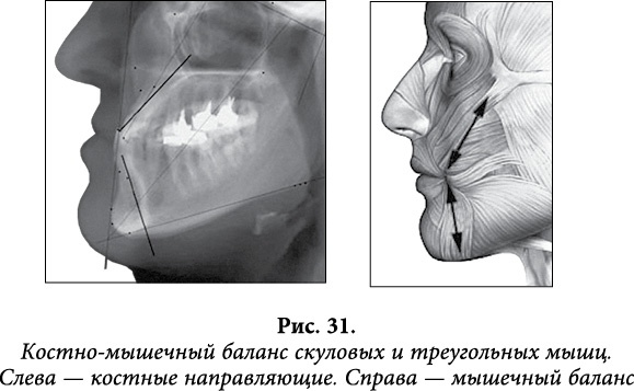 Иллюстрация к книге — Квантовая биомеханика тела. Методика оздоровления опорно-двигательного аппарата человека. Часть 1 [_25.jpg]