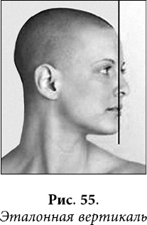 Иллюстрация к книге — Квантовая биомеханика тела. Методика оздоровления опорно-двигательного аппарата человека. Часть 1 [_44.jpg]