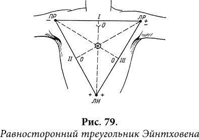 Иллюстрация к книге — Квантовая биомеханика тела. Методика оздоровления опорно-двигательного аппарата человека. Часть 1 [_66.jpg]