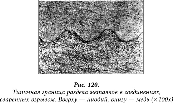 Иллюстрация к книге — Квантовая биомеханика тела. Методика оздоровления опорно-двигательного аппарата человека. Часть 1 [_96.jpg]