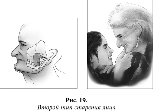 Иллюстрация к книге — Квантовая биомеханика тела. Методика оздоровления опорно-двигательного аппарата. Часть 2 [_15.jpg]