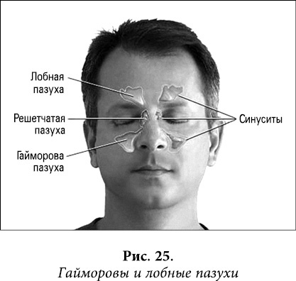 Иллюстрация к книге — Квантовая биомеханика тела. Методика оздоровления опорно-двигательного аппарата. Часть 2 [_20.jpg]
