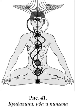 Иллюстрация к книге — Квантовая биомеханика тела. Методика оздоровления опорно-двигательного аппарата. Часть 2 [_32.jpg]