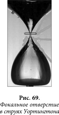 Иллюстрация к книге — Квантовая биомеханика тела. Методика оздоровления опорно-двигательного аппарата. Часть 2 [_56.jpg]