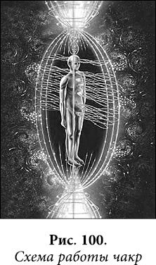 Иллюстрация к книге — Квантовая биомеханика тела. Методика оздоровления опорно-двигательного аппарата. Часть 2 [_83.jpg]