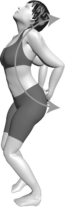 Иллюстрация к книге — Система Осьмионика. Самомоделирование осанки. Коррекция верхней половины тела [_122.jpg]