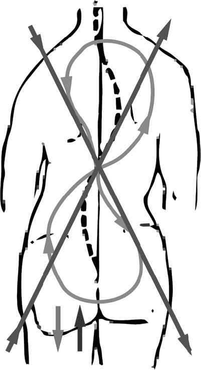 Иллюстрация к книге — Система Осьмионика. Самомоделирование осанки. Коррекция верхней половины тела [_18.jpg]