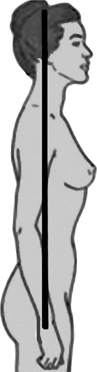 Иллюстрация к книге — Система Осьмионика. Самомоделирование осанки. Коррекция верхней половины тела [_19.jpg]