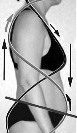 Иллюстрация к книге — Система Осьмионика. Самомоделирование осанки. Коррекция верхней половины тела [_22.jpg]