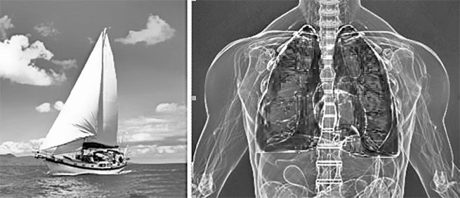 Иллюстрация к книге — Система Осьмионика. Самомоделирование осанки. Коррекция верхней половины тела [_38.jpg]