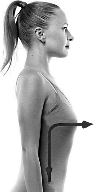 Иллюстрация к книге — Система Осьмионика. Самомоделирование осанки. Коррекция верхней половины тела [_41.jpg]