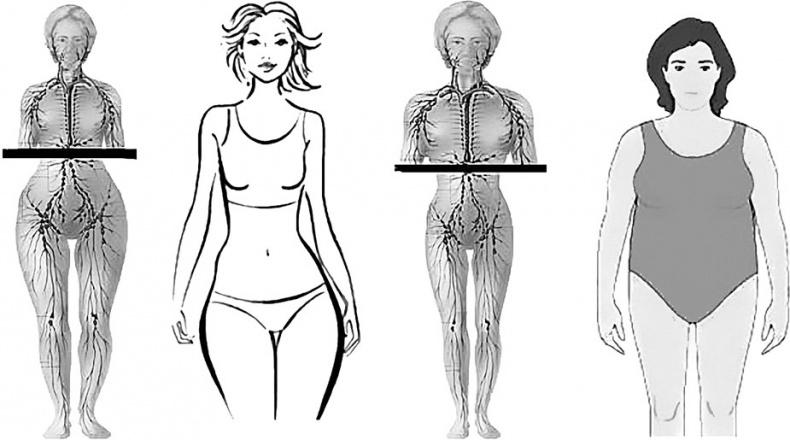 Иллюстрация к книге — Система Осьмионика. Самомоделирование осанки. Коррекция верхней половины тела [_52.jpg]
