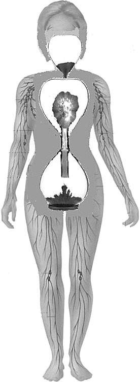 Иллюстрация к книге — Система Осьмионика. Самомоделирование осанки. Коррекция верхней половины тела [_58.jpg]