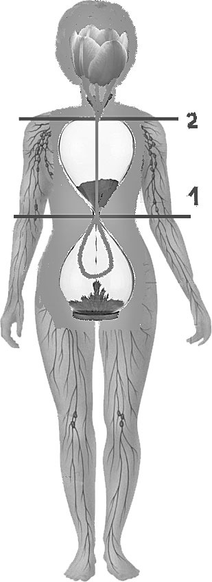Иллюстрация к книге — Система Осьмионика. Самомоделирование осанки. Коррекция верхней половины тела [_61.jpg]