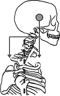 Иллюстрация к книге — Система Осьмионика. Самомоделирование осанки. Коррекция верхней половины тела [_73.jpg]