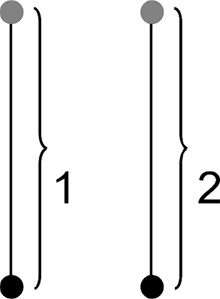 Иллюстрация к книге — Система Осьмионика. Самомоделирование осанки. Коррекция верхней половины тела [_76.jpg]