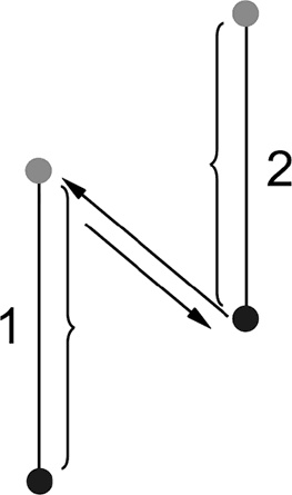 Иллюстрация к книге — Система Осьмионика. Самомоделирование осанки. Коррекция верхней половины тела [_77.jpg]