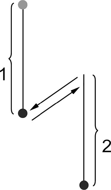 Иллюстрация к книге — Система Осьмионика. Самомоделирование осанки. Коррекция верхней половины тела [_78.jpg]