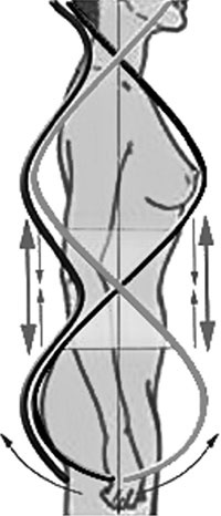 Иллюстрация к книге — Система Осьмионика. Самомоделирование осанки. Коррекция верхней половины тела [_81.jpg]