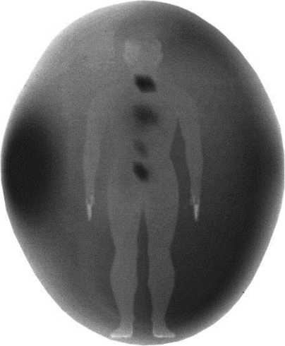 Иллюстрация к книге — Никола Тесла [i_048.jpg]