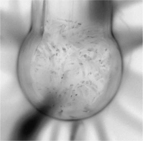 Иллюстрация к книге — Никола Тесла [i_060.jpg]