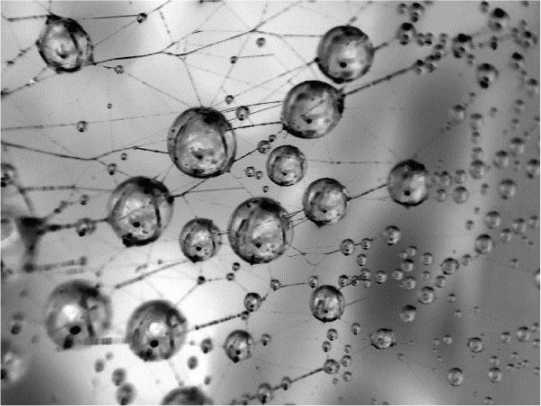 Иллюстрация к книге — Никола Тесла [i_113.jpg]