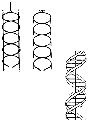 Иллюстрация к книге — Время. Ритмы и паузы [i_013.jpg]