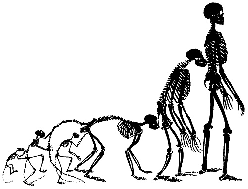 Иллюстрация к книге — Время. Ритмы и паузы [i_102.jpg]