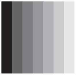 Иллюстрация к книге — Инкогнито. Тайная жизнь мозга [i_002.jpg]