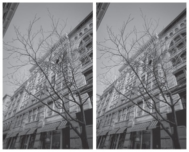 Иллюстрация к книге — Инкогнито. Тайная жизнь мозга [i_004.jpg]