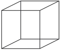 Иллюстрация к книге — Инкогнито. Тайная жизнь мозга [i_008.jpg]